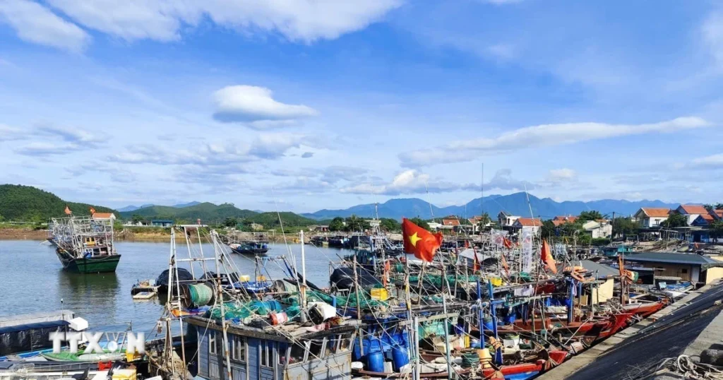 Khắc phục "thẻ vàng" IUU: Khánh Hòa đảm bảo minh bạch, đầy đủ số liệu 1 iuu