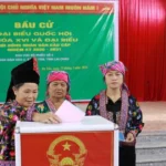 lai chau bau cu3 1
