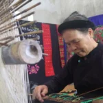 luong noi 6454146