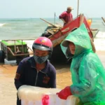 ngu dan quang tri duoc mua sua bien