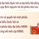 nguyen tac bo phieu