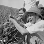 pham van dong 32