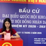 sinh vien bo phieu bau cu