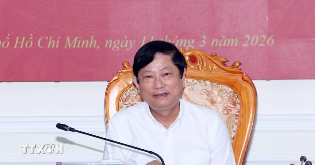 thanh pho ho chi minh dam bao cong tac to chuc bau cu dan chu dung luat va an toan 8635759