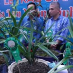 thi dia lan
