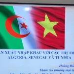 tu van xuat khau sang thi truong algeria senegal va tunisia2