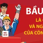 vna potal bau cu la quyen va nghia vu cua cong dan 8615867 8160
