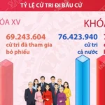 vna potal bau cu quoc hoi va hdnd 9970 cu tri ca nuoc tham gia bo phieu 8655145 4028