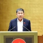 vu hai ha