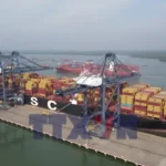 avatar of video 1596896