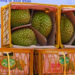 can tho xuat khau sau rieng
