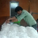 chung nhan bun van cu 1