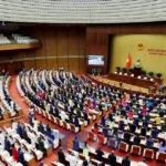 hoi truong
