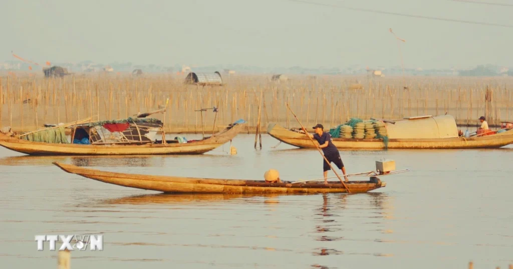 Thời điểm 'vàng' ngắm bình minh trên phá Tam Giang 1 ngam binh minh tren pha tam giang hue 06 6jpg