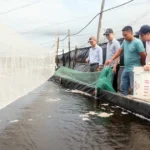 quang tri quy hoach vung nuoi trong thuy san theo huong ben vung2