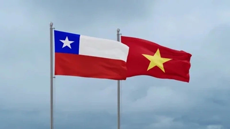viet nam chile