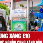 xang sinh hoc e10 1
