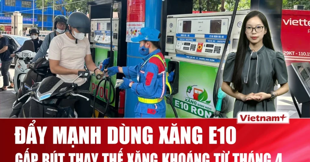 Xăng sinh học E10 chính thức ‘phủ sóng’ toàn quốc từ đầu tháng 4/2026 1 xang sinh hoc e10