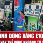 xang sinh hoc e10