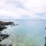 1505 dac khu phu quy