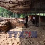 avatar of video 1607358