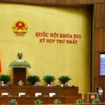 bieu quyet 1 doan tan