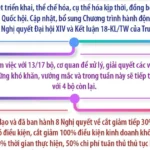 info chinh phu chi dao 6912