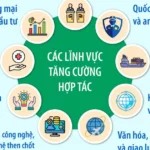 info quan he doi tac chien luoc toan dien tang cuong viet nam an do 6554