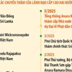 info quan he huu nghi truyen thong viet nam sri lanka 4366