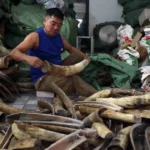 lang nghe hn