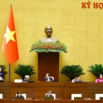 phien hop sang 244