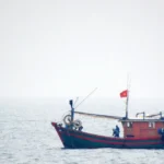 tau ca viet nam