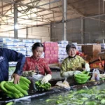 tp ho chi minh chuan hoa ma vung trong gia tang gia tri xuat khau cho trai cay