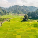 yen thinh 2