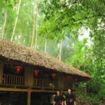 2010 lang thai hai