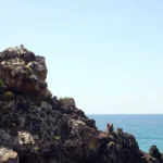 2606 mui vi rong 5