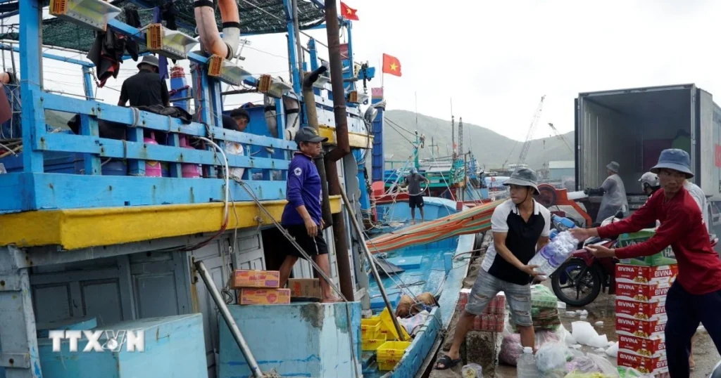 ngu dan gia lai 3