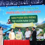 3007 dau gia sau rieng 1