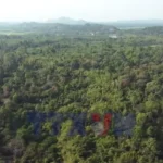 avatar of video 1634536
