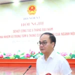 bo noi vi