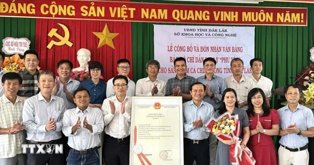 Nâng tầm thương hiệu cá chình bông Phú Yên 1 ca chinh bong 1