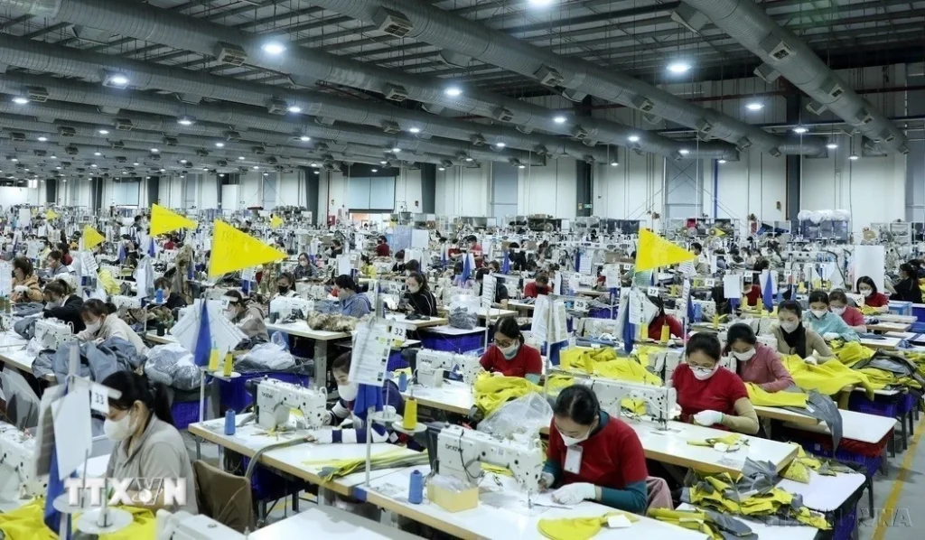 Ngành dệt may Việt Nam: Quản trị rủi ro vượt "sóng cả" thị trường 1 det may 1