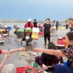 nen tang so