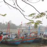 ngu dan nghe an