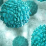 norovirus panorama 93ab3dc4bd774e1b867f58b69afd5d96 ifmulep01ros