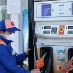 petrolimex tien phong chuyen sang ban xang sinh hoc e10 8780805