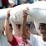 philippines nhap khau gao 1610 8134