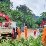 sua chua luoi dien sau bao tai thai nguyen 13924 3176