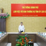 thu tuong lam viec voi ban thuong vu tinh uy lao cai 14 4