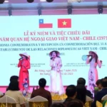 viet nam chile 2